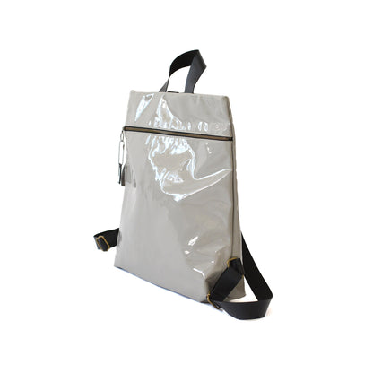 Shiny Light Grey